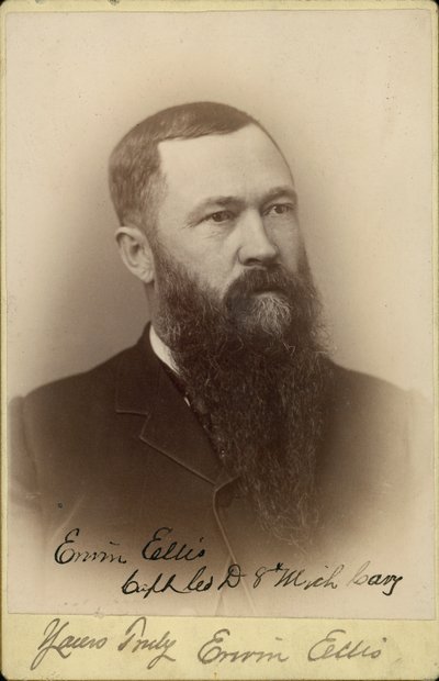 Erwin Ellis, Captain, Company D, 8th Michigan Cavalry (Union) by F.D. Guild